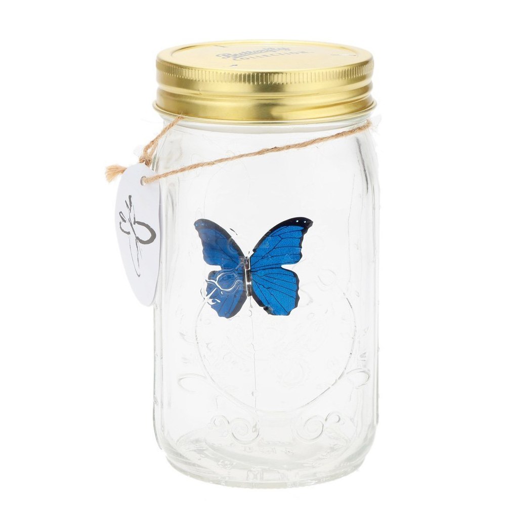 Magic Butterfly Jar