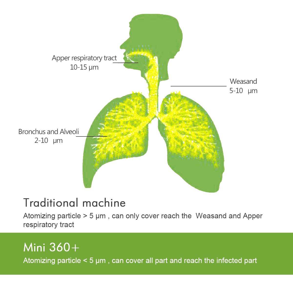 Portable Nebulizer