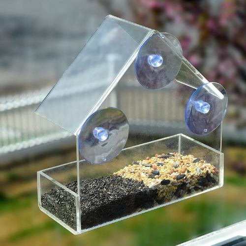 The Best Clear Bird Feeder