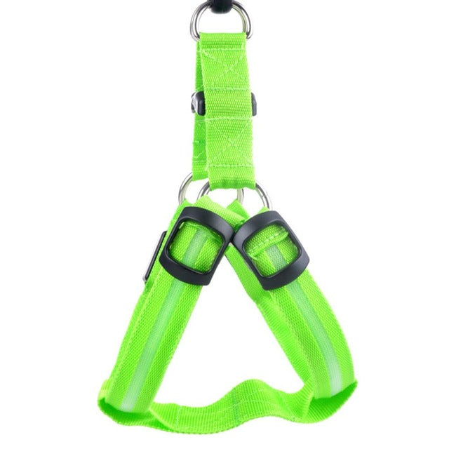 LED Dog Harness