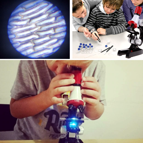Microscope Kit Lab - Educational Children Toys