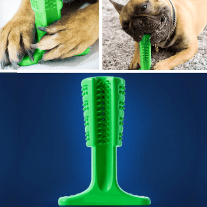 Dog Toothbrush - Helps Prevent Dog Gum Disease
