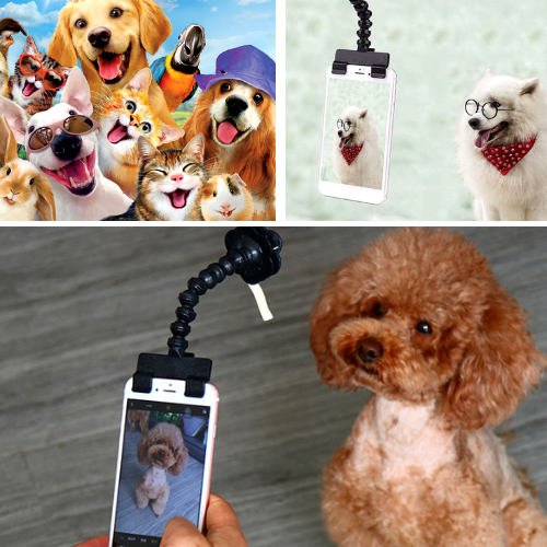 Pet Selfie Stick