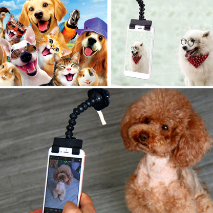 Pet Selfie Stick