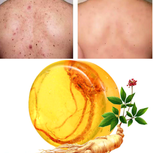 The Original Ginseng Revitalizing Soap Bar