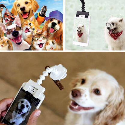 Pet Selfie Stick
