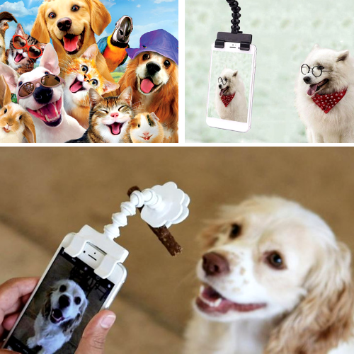 Pet Selfie Stick
