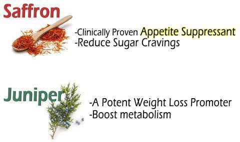 Appetite Control Saffron Oil - Appetite Suppressant Oil - All Natural
