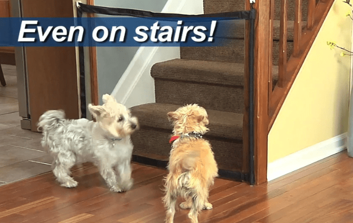 Original Magic Mesh Pet Gate- 55% OFF TODAY