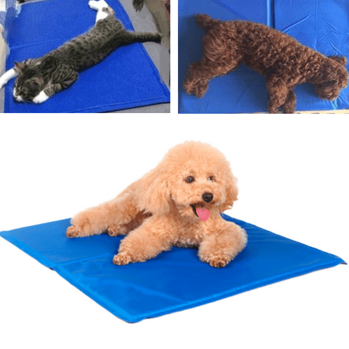 #1 Pet Cooling Mat - Dog Cooling Mat