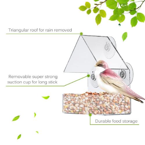 The Best Clear Bird Feeder