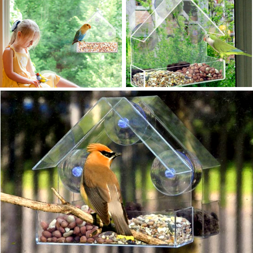 The Best Clear Bird Feeder