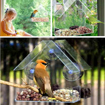 The Best Clear Bird Feeder
