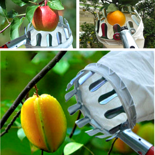Metal Fruit Picker