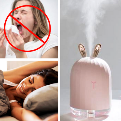 Portable Mini Ultrasonic Air Humidifier