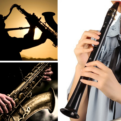 The Best Mini Saxophone