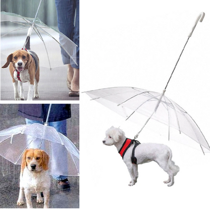 The Best Dog Umbrella