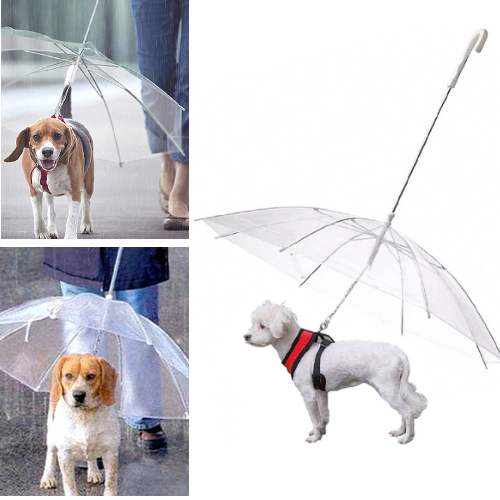 The Best Dog Umbrella