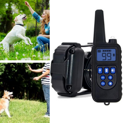 Dog Shock Collar