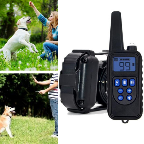 Dog Shock Collar