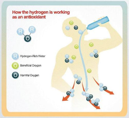 The Best Hydrogen Water Bottle