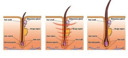 The Best Anti Hair Loss Shampoo
