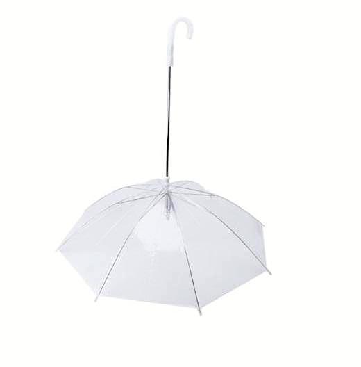 The Best Dog Umbrella