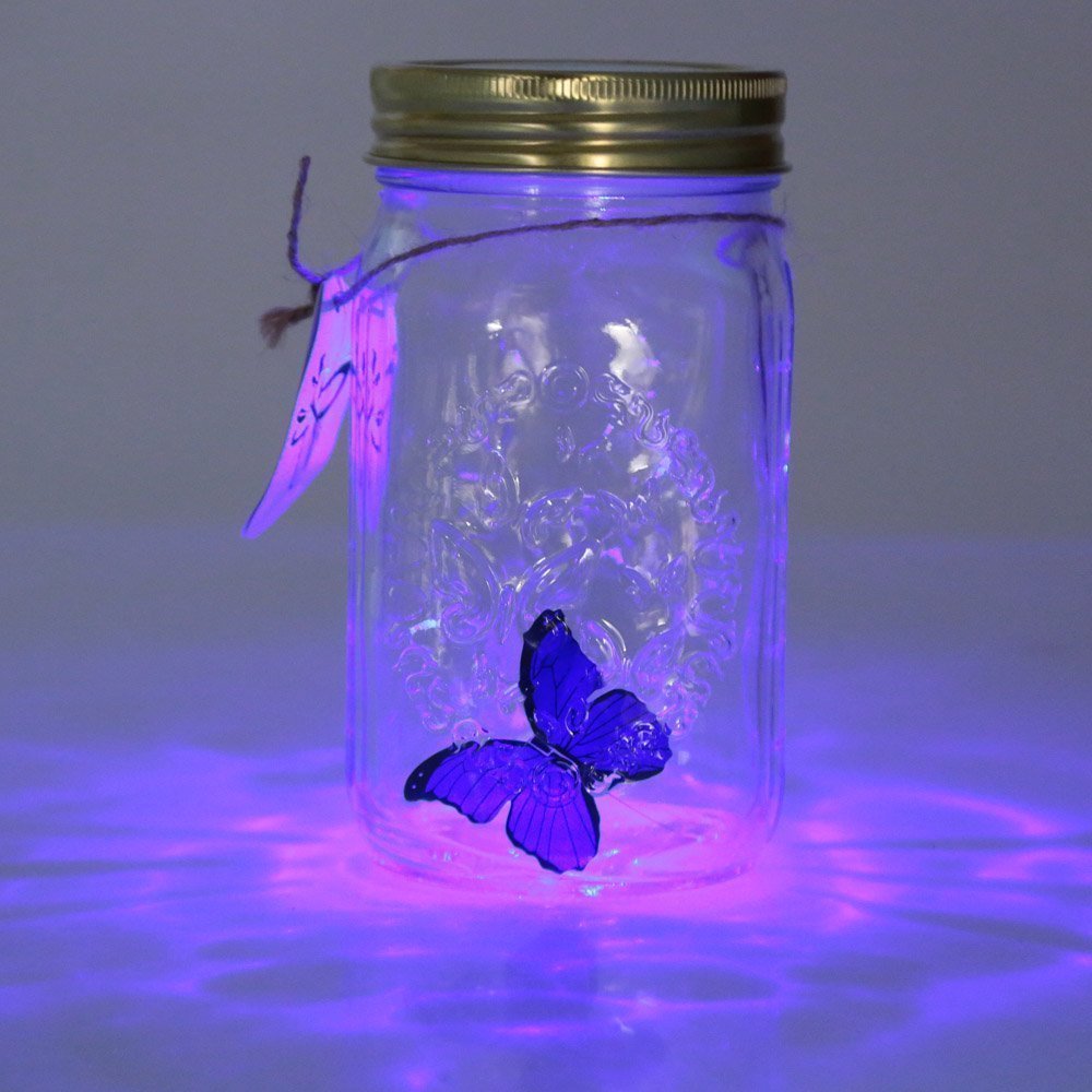 Magic Butterfly Jar