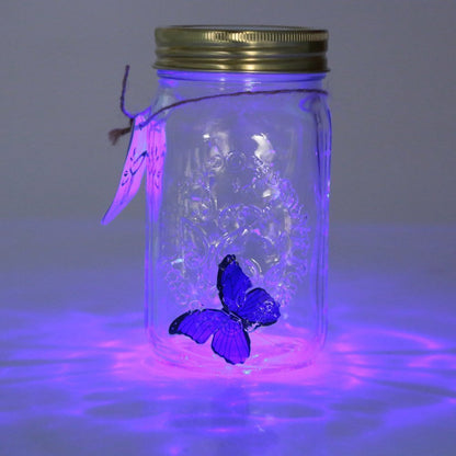 Magic Butterfly Jar