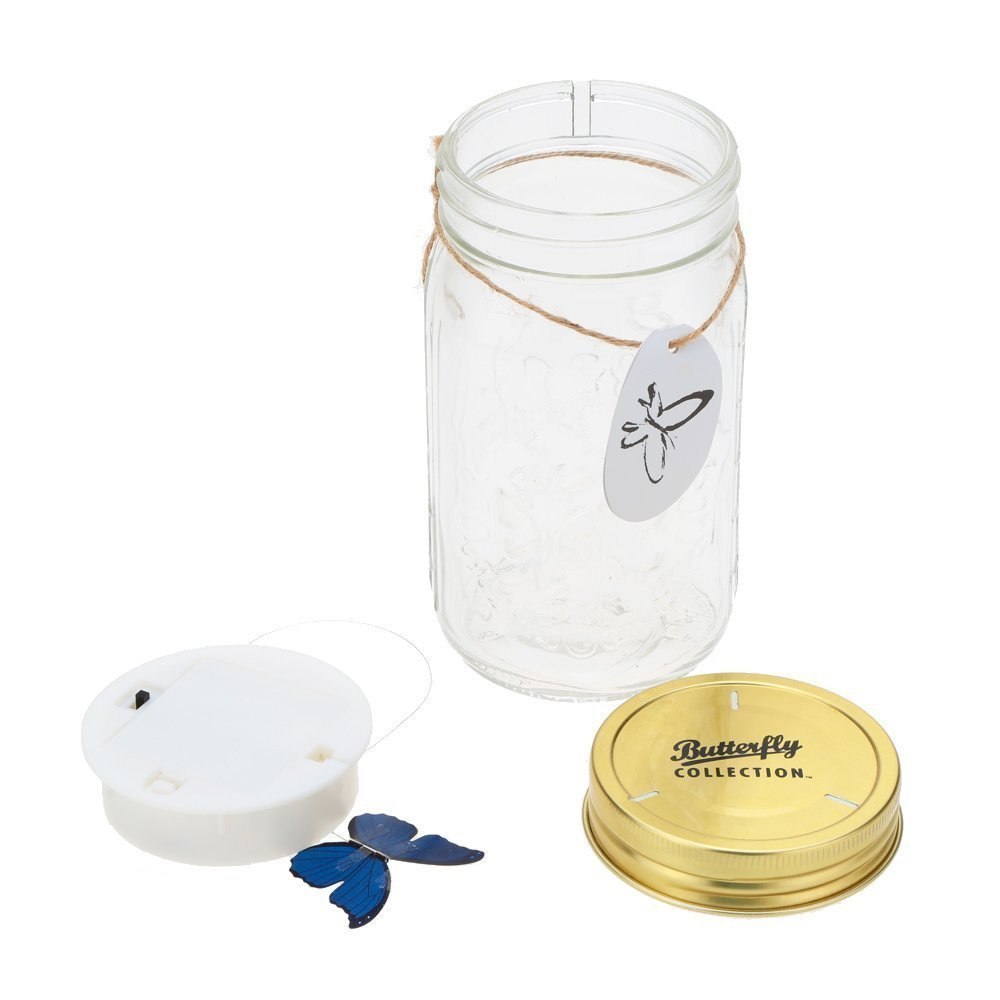 Magic Butterfly Jar