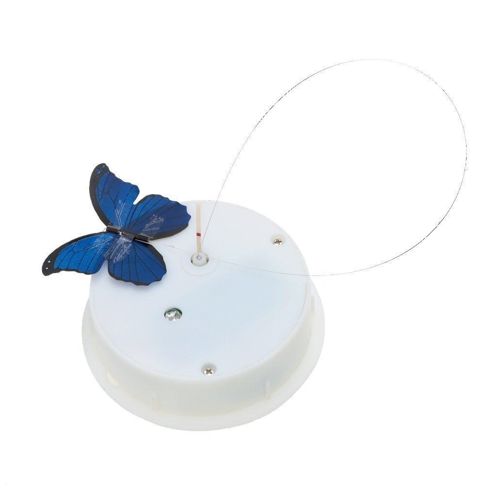 Magic Butterfly Jar