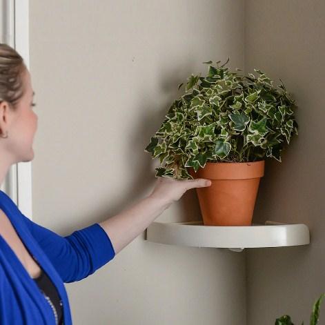 Snap Up Bathroom Shelf Organizer