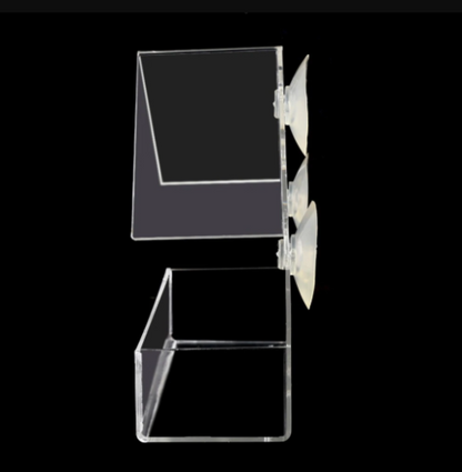 The Best Clear Bird Feeder
