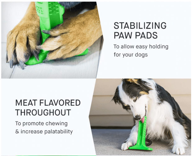 Dog Toothbrush - Helps Prevent Dog Gum Disease