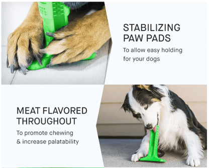 Dog Toothbrush - Helps Prevent Dog Gum Disease