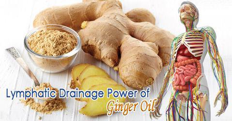 Premium Ginger Oil - Improves Swelling, Joint Pain, Infection