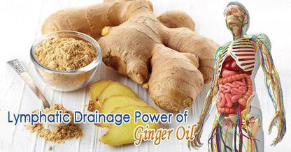 Premium Ginger Oil - Improves Swelling, Joint Pain, Infection
