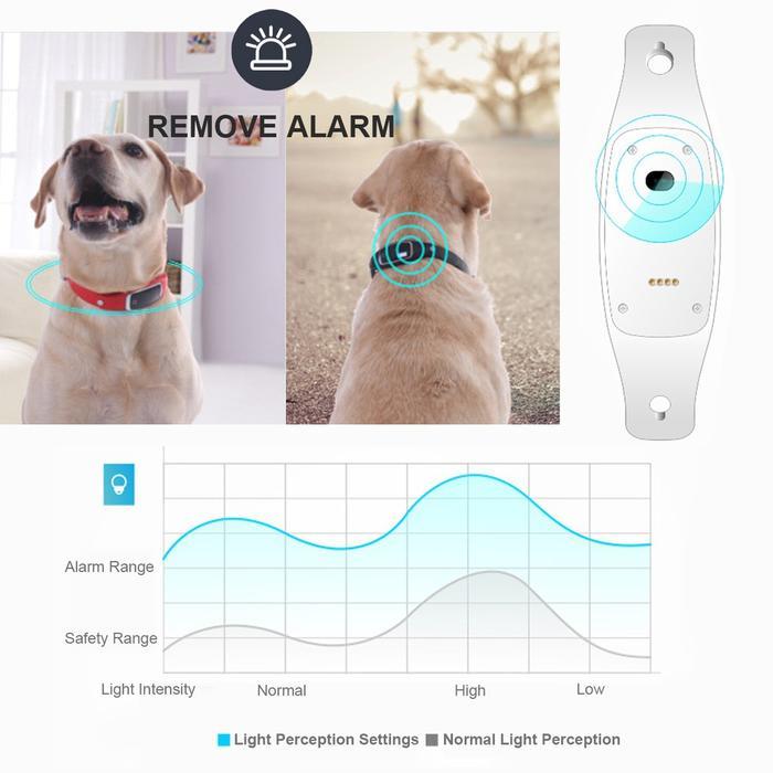#1 Premium GPS Dog Collar - Dog Tracking Collar