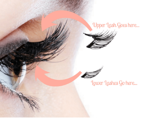 Best Selling Magnetic Lashes