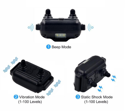 Dog Shock Collar