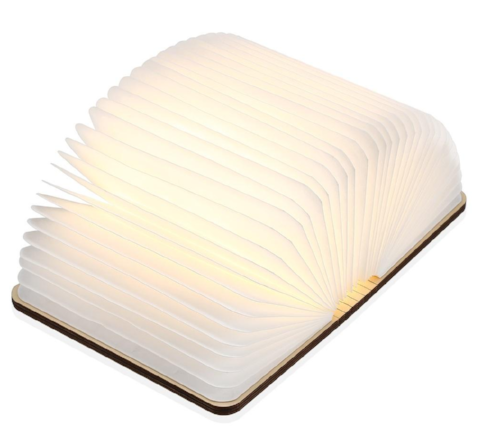 Mini Portable Book Lamp