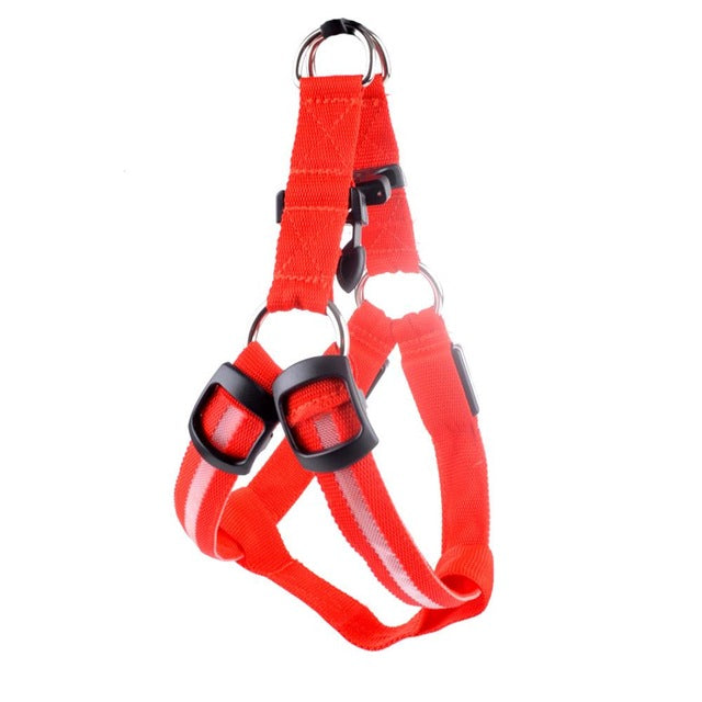LED Dog Harness