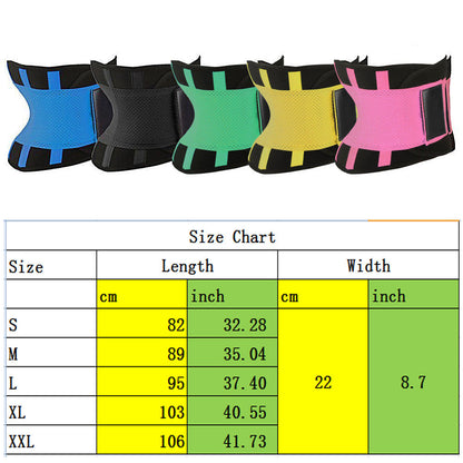 Slim Fit Waist Shaper