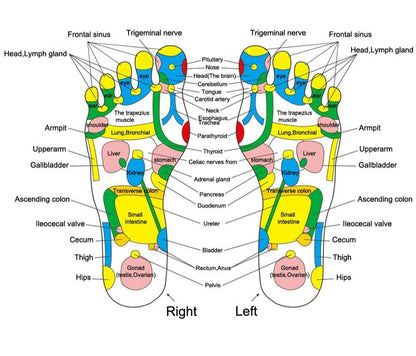 Feet Reflexology Cobblestones Mat - Promote Blood Circulation