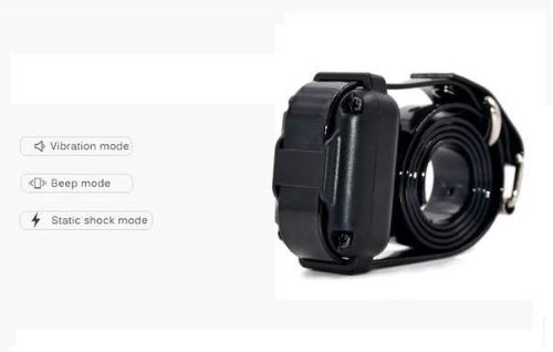 Dog Shock Collar