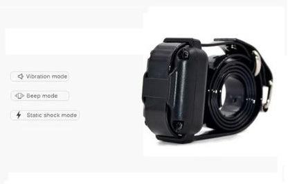 Dog Shock Collar