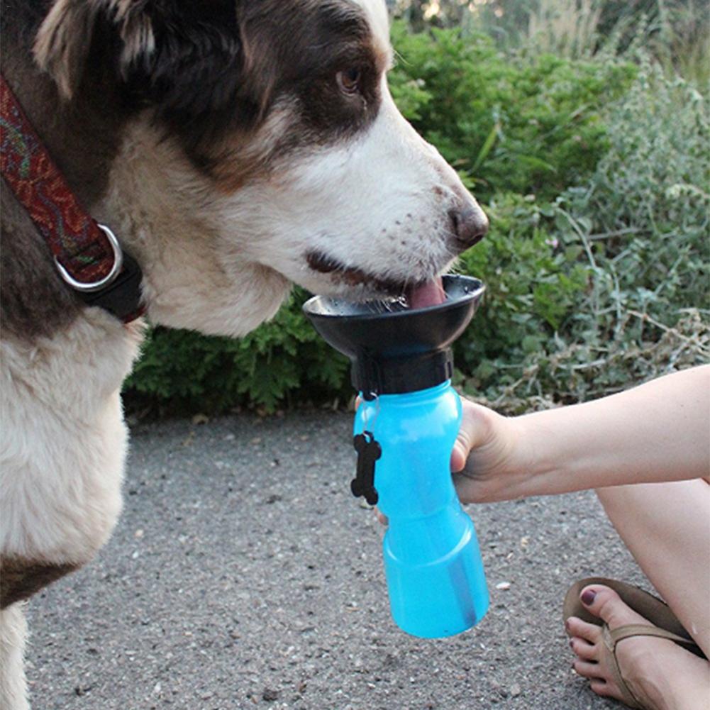 Portable Dog Water Bottle