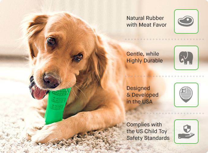 Dog Toothbrush - Helps Prevent Dog Gum Disease
