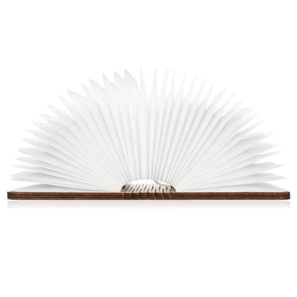 Mini Portable Book Lamp